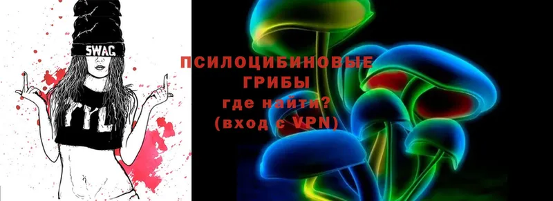 ссылка на мегу ТОР  Норильск  Псилоцибиновые грибы Magic Shrooms  купить наркоту 